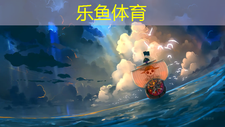 乐鱼体育,全州艺术体操垫