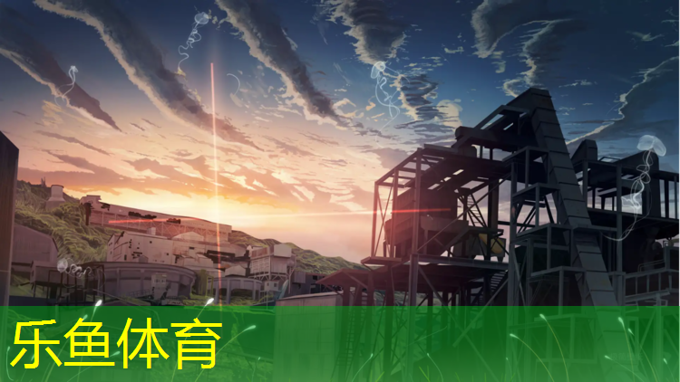 乐鱼体育,手工充气体操垫教案中班