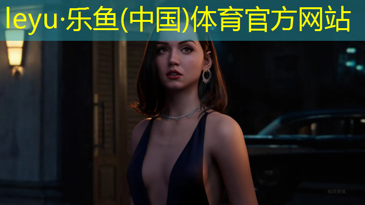 健身房踏步机9